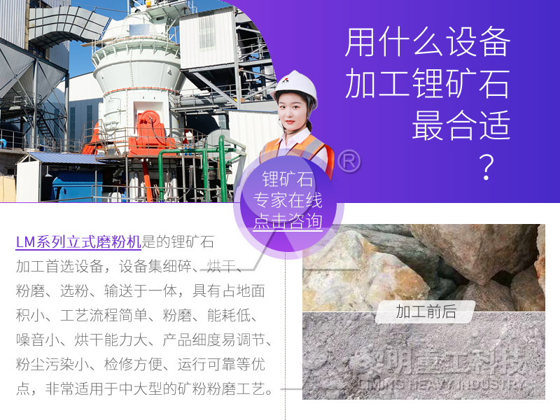 立磨機(jī) 立磨機(jī)